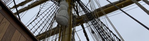 Les élèves de GSB sur le Gorch Fock